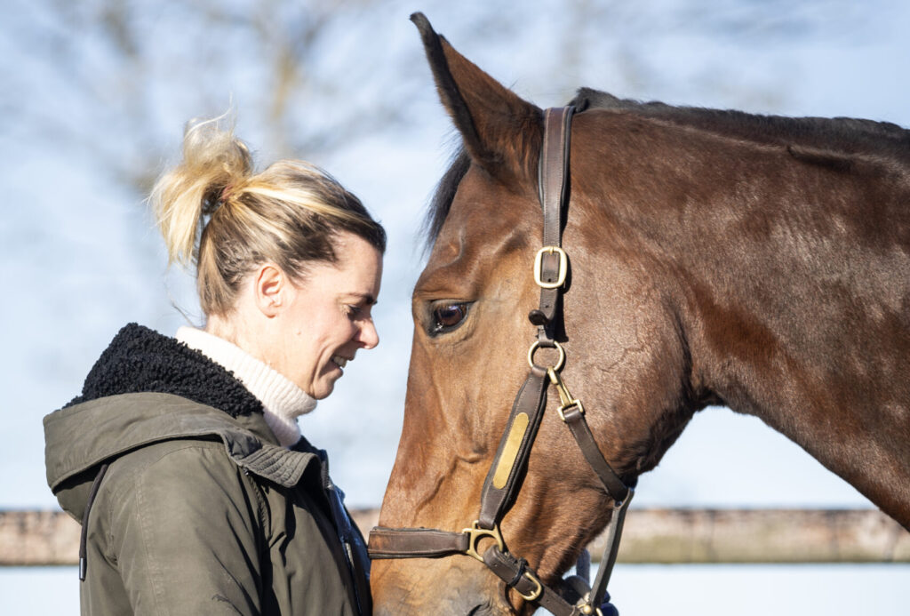 Hynderwurk Paardencoaching